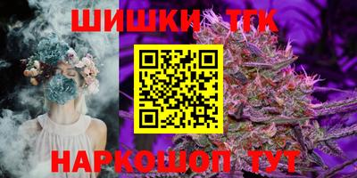 гашик Будённовск