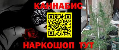 гашик Будённовск